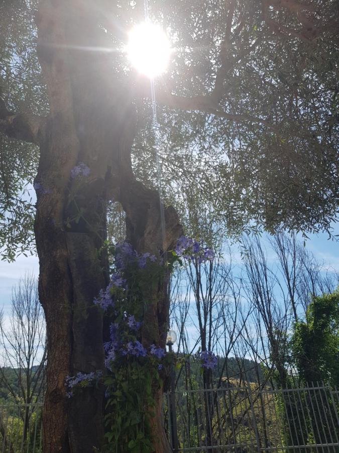 Casa Luigina Villa Vezzola ภายนอก รูปภาพ
