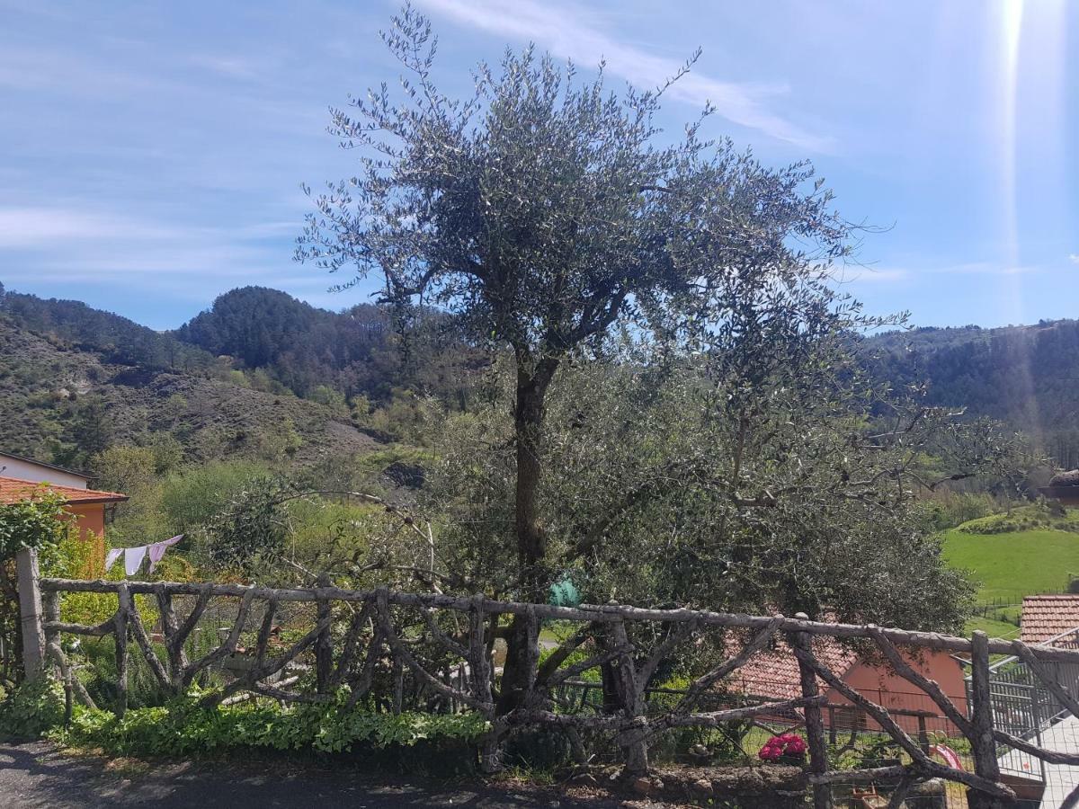 Casa Luigina Villa Vezzola ภายนอก รูปภาพ